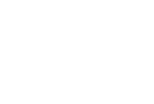 coal icon
